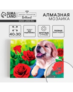 Алмазная мозаика с полным заполнением на холсте «Щенок», 30×40 см Школа талантов