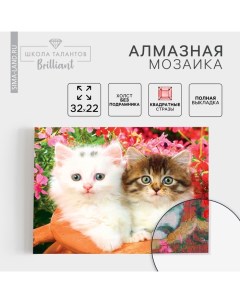 Алмазная мозаика с полным заполнением на холсте «Котята», 22×32 см Школа талантов