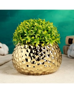 Кашпо "Пиппа" золотое, 15х15х9,5см Take it easy