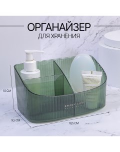 Органайзер для хранения «GREEN», 3 секции, 18,5 × 9,5 × 10 см, цвет полупрозрачный/зелёный Qf
