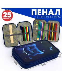 Пенал 2 секции, 125×205 мм, с наполнением 23 предмета, «Кошечка» ламинированный картон, 30П26/2/set Calligrata