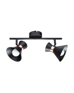 Спот Arte Lamp Baltimore A1406AP-2BK Arte lamp