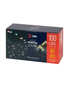 Светодиодная гирлянда ЭРА ERAPS-PM10 / Б0056016 Эра