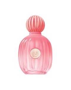 Парфюмерная вода Antonio Banderas The Icon Splendid Antonio banderas