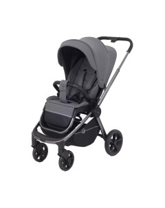 Детская прогулочная коляска Flex Pro 2023 / RA099 Rant