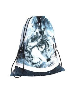 Мешок для обуви Timber Wolf / 60159 Erich krause