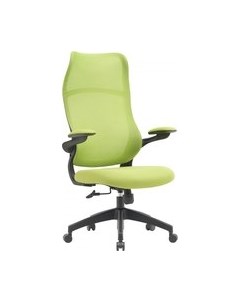 Кресло офисное CS-MC505-GN Cactus