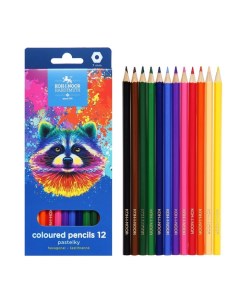 Карандаши 12 цветов, K-I-N 3552 Racoon, шестигранные, картонная упаковка Koh-i-noor