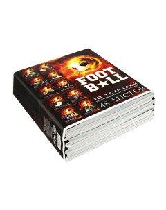 Набор предметных тетрадей 48 листов «Футбол», 10 предметов Calligrata