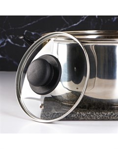 Крышка стеклянная для сковороды и кастрюли «», d=16 см, нержавеющий обод, пластиковая ручка Доляна