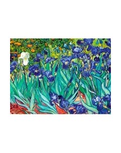 Набор алмазной вышивки Школа талантов Ирисы / 5276519