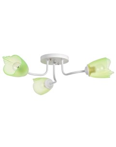 Люстра «1341002/3GN», E27 15 Вт, белый-зеленый Bayerlux