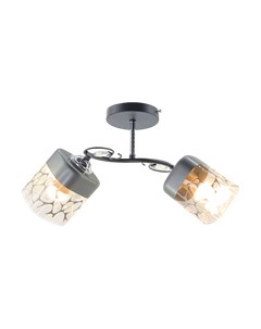 Потолочный светильник НПБ 02-2х60-101 / XA1517B/2 Aitin-pro