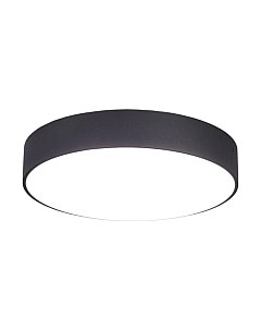 Потолочный светильник Citilux Тао CL712242N