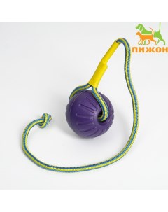 Мяч из EVA на верёвке, для дрессировки, 7 см, фиолетовый Пижон