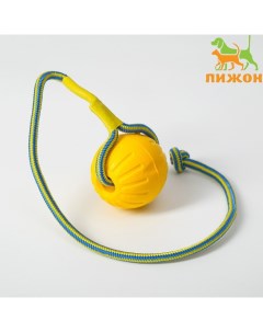 Мяч из EVA на верёвке для дрессировки, 7 см, жёлтый Пижон