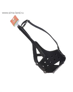 Намордник кожаный цельнокроенный, длина по носу 6.5 см, ОМ 35 см, ротвейлер, чёрный Пижон