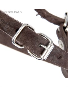 Намордник кожаный №5, немецкая овчарка,терьер (длина по носу 11 см, обхват морды 36 см), микс Зооник