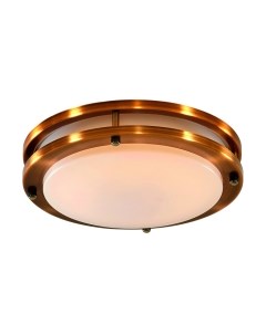 Потолочный светильник Citilux Бостон CL709203N