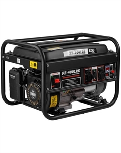 Генератор PE-4001RS EC1565-1 Eco