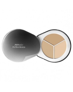 Консилер для лица Perfect Cover Concealer Palette Dr. althea
