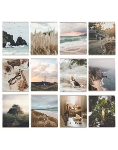 Тетради предметные комплект ESTHETICS Brauberg