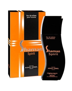 Туалетная вода Spirit мужской 100 Shaman