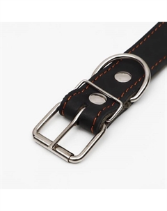 Ошейник комбинированный кожа/брезент "Ёж", 70 х 3,5 см, ОШ 45-60 см, чёрный Пижон