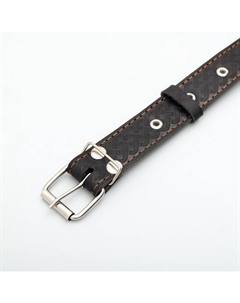 Ошейник комбинированный безразмерный, кожа/брезент, 65×3.5 см, ОШ 31-61 см, чёрный Пижон