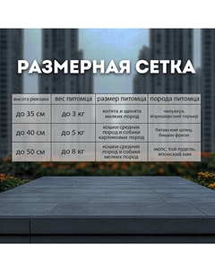 Рюкзак-переноска для кошек и собак, сетка с кошкой, оксфорд+ПВХ37×37×25 см, серый/жёлтый Пижон