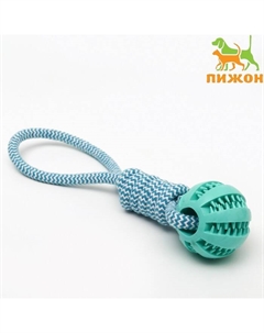Игрушка канатная плетёная с мячом, до 30 см, до 120 г, голубая Пижон