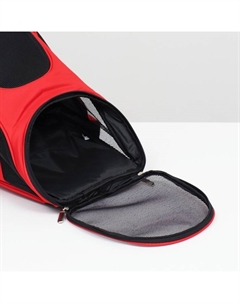 Рюкзак для переноски кошек и собак, 31,5 х 25 х 33 см, красный Пижон