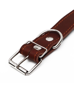 Ошейник кожаный на синтепоне, безразмерный, 71×3.5 см, ОШ 29-62 см, коричневый Пижон