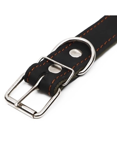 Ошейник комбинированный кожа/брезент, безразмерный, 70×3.5 см, ОШ 25-60 см, чёрный Пижон