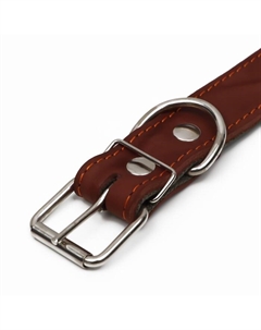 Ошейник комбинированный кожа/брезент, безразмерный, 70×3.5 см, ОШ 25-60 см, коричневый Пижон