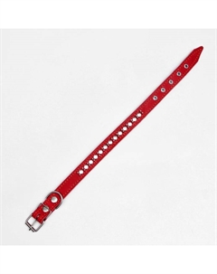 Ошейник кожаный на синтепоне "Ёж", 56 х 2.5 см, ОШ 35-45 см, красный Пижон