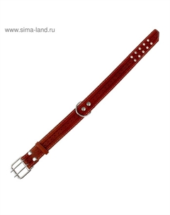 Ошейник кожаный однослойный,80×4.5 см, ОШ 51-65 см, микс Пижон