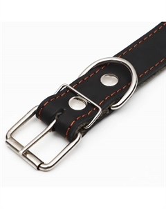 Ошейник комбинированный кожа/брезент, 69 х 3,5 см, украшенный, ОШ 45-60 см, чёрный Пижон