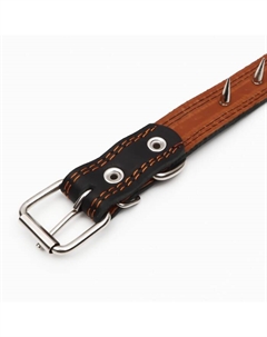 Ошейник кожаный «Строгий шип», 65×3 см, ОШ 40-55 см, чёрный Пижон