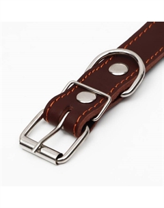 Ошейник кожаный на синтепоне, 65×3 см, ОШ 40-55 см, коричневый Пижон