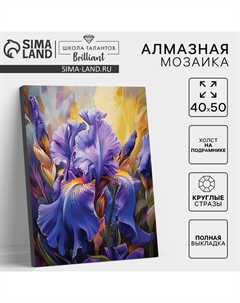 Алмазная мозаика с полным заполнением на холсте с подрамником «Ирисы», 40×50 см Школа талантов