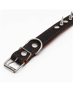 Ошейник кожаный двухслойный шипованный, 63×3 см, ОШ 40-55 см, чёрный Пижон