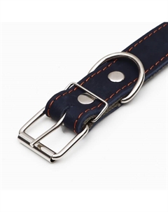 Ошейник комбинированный кожа/брезент, безразмерный, 70×3.5 см, ОШ 25-60 см, синий Пижон