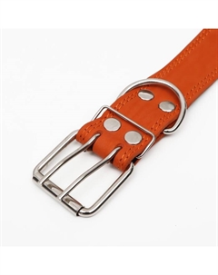 Ошейник кожаный на синтепоне, безразмерный, 83×4.5 см, ОШ 20-71 см, оранжевый Пижон