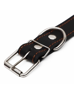 Ошейник кожаный на синтепоне, безразмерный, 71×3.5 см, ОШ 29-62 см, чёрный Пижон