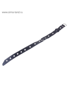 Ошейник кожаный тисненый на фетре, 54×2.5 см, безразмерный, микс цветов Пижон