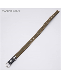 Ошейник брезентовый безразмерный двухслойный, 72×3.5 см, ОШ 45-60 см, хаки Пижон
