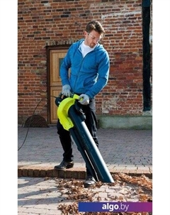 Воздуходувка RBV3000CESV Ryobi