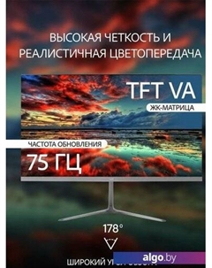 Монитор 22FV100 Leff