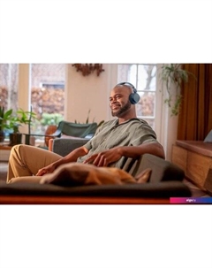 Наушники TAH4209 (синий) Philips